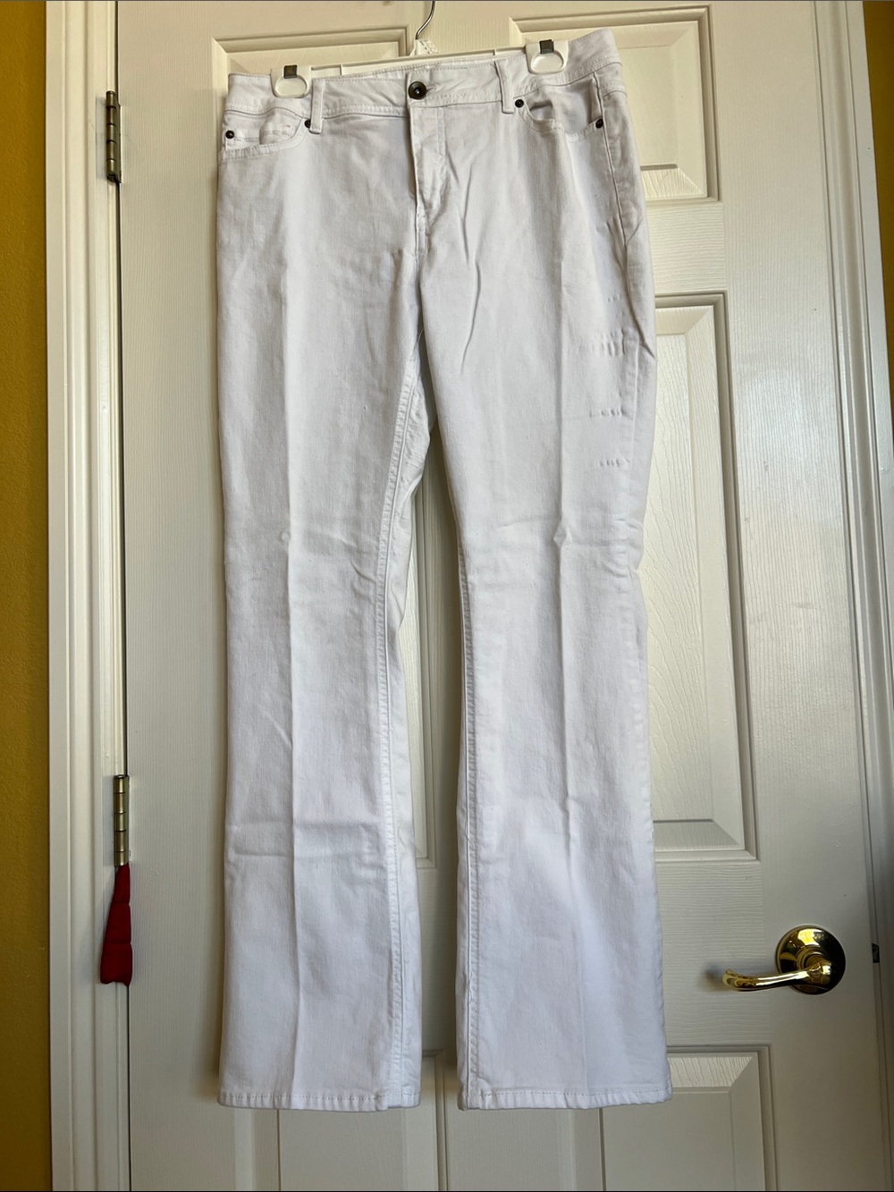 Est . 1846 Denim Pants ( NWOT )